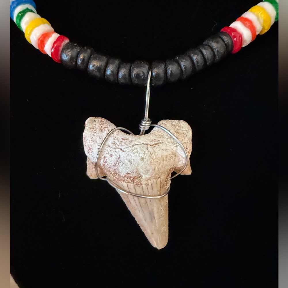 Puka Shell Rainbow Multicolor Beaded Necklace with Shark Tooth Pendant - Picture 2 of 3